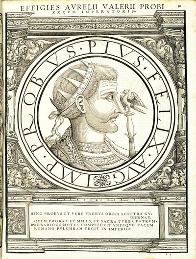 Probus, illustration from 